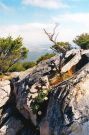 Stirling Range - Bluff Knoll