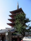 Asakusa Pagoda Senso-ji, Tokio